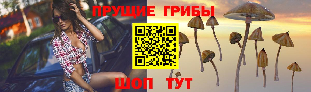 Новый Уренгой  Псилоцибиновые грибы Cubensis  Вход с VPN 